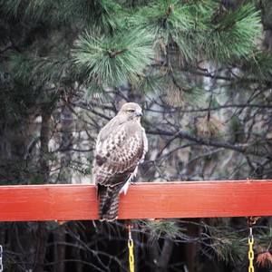 Meet your Posher, Kerry